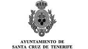 Ayuntamiento de Santa Cruz de Tenerife